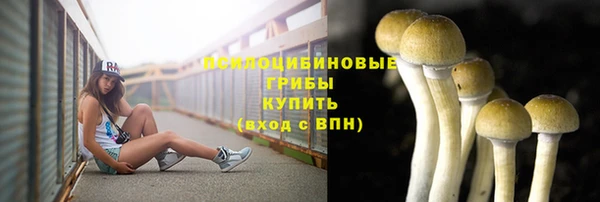 гидропоника Абаза