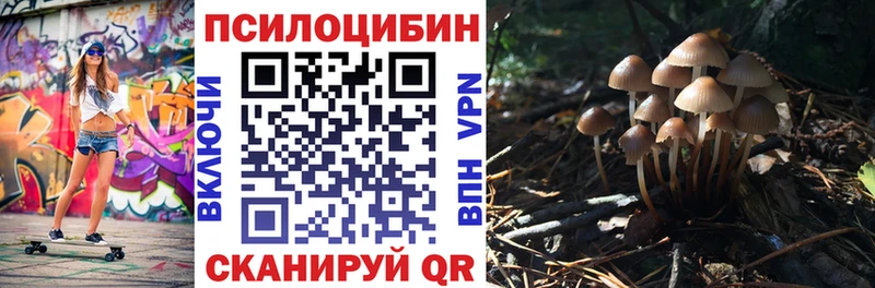 Псилоцибиновые грибы прущие грибы  Шахты 
